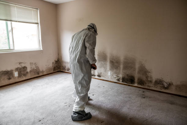 Water Damage Restoration in Point Pleasant, WV